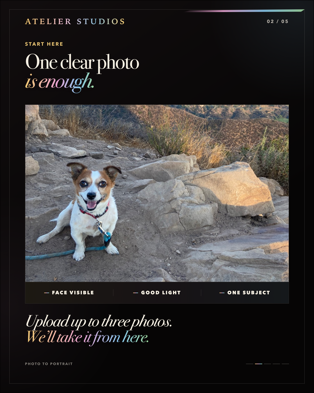 Atelier Studios case study card showing Sparky clearly outdoors and the checks face visible, good light, and one subject.